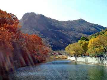 2004新澳门天天开好彩，彩色沥青. 山东佳园景观